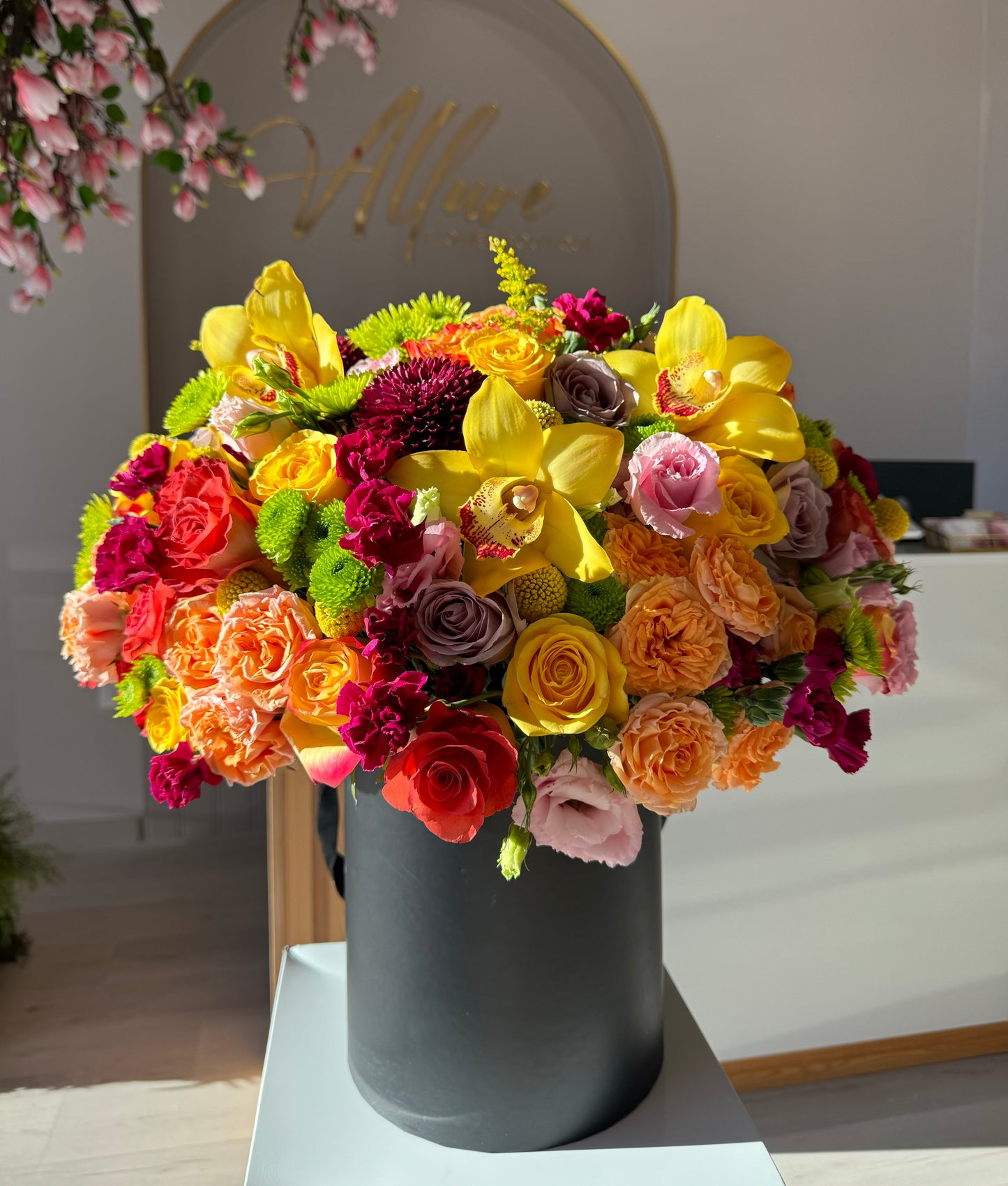VIBRANT HARMONY