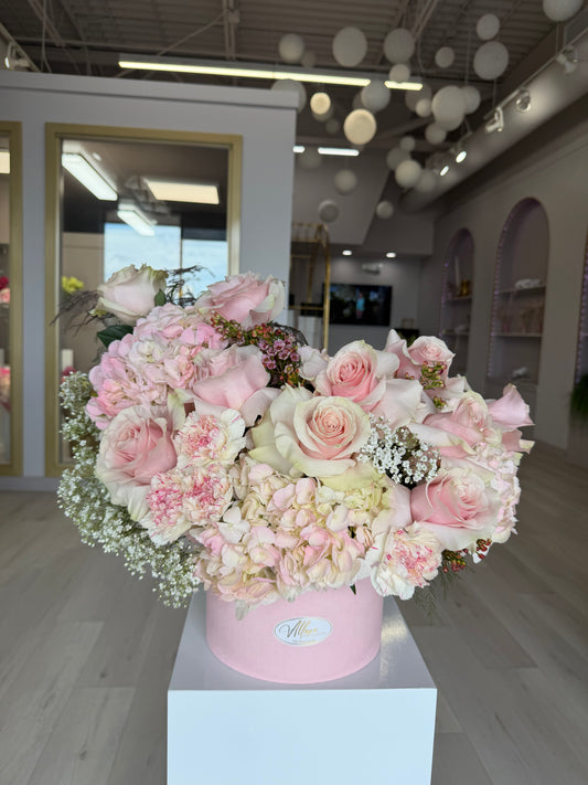 LUSH BLOOMS